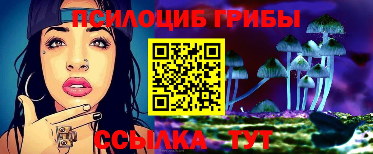 Чернушка  Галлюциногенные грибы Cubensis  Вход с VPN 